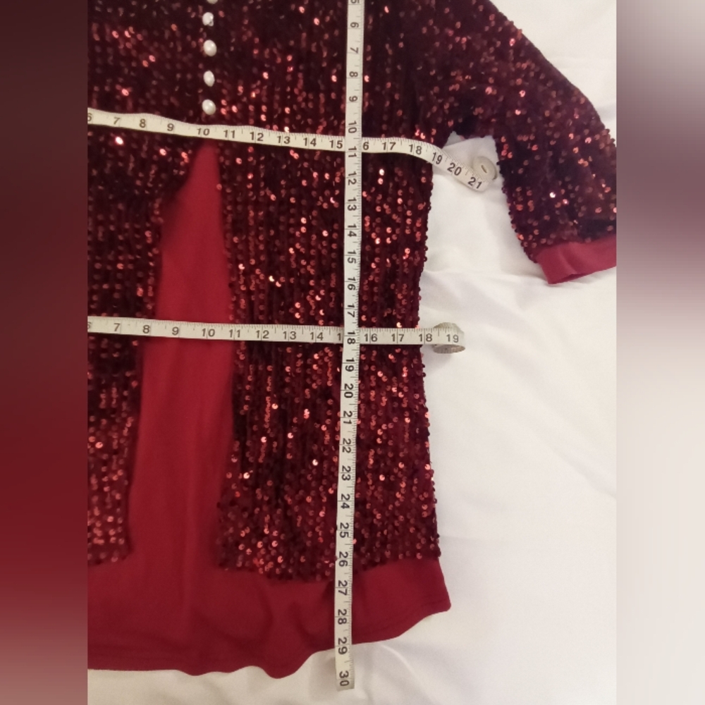 Sequins Wine Tunic Top - Picture 8 of 10